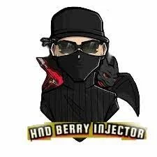HND-Berry-Injector